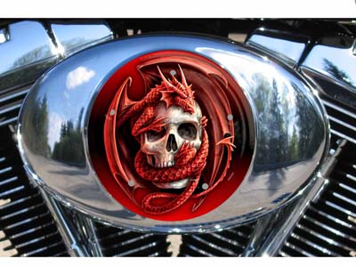 Custom Air Cleaner Cover - Red Dragon Skull - Click Image to Close